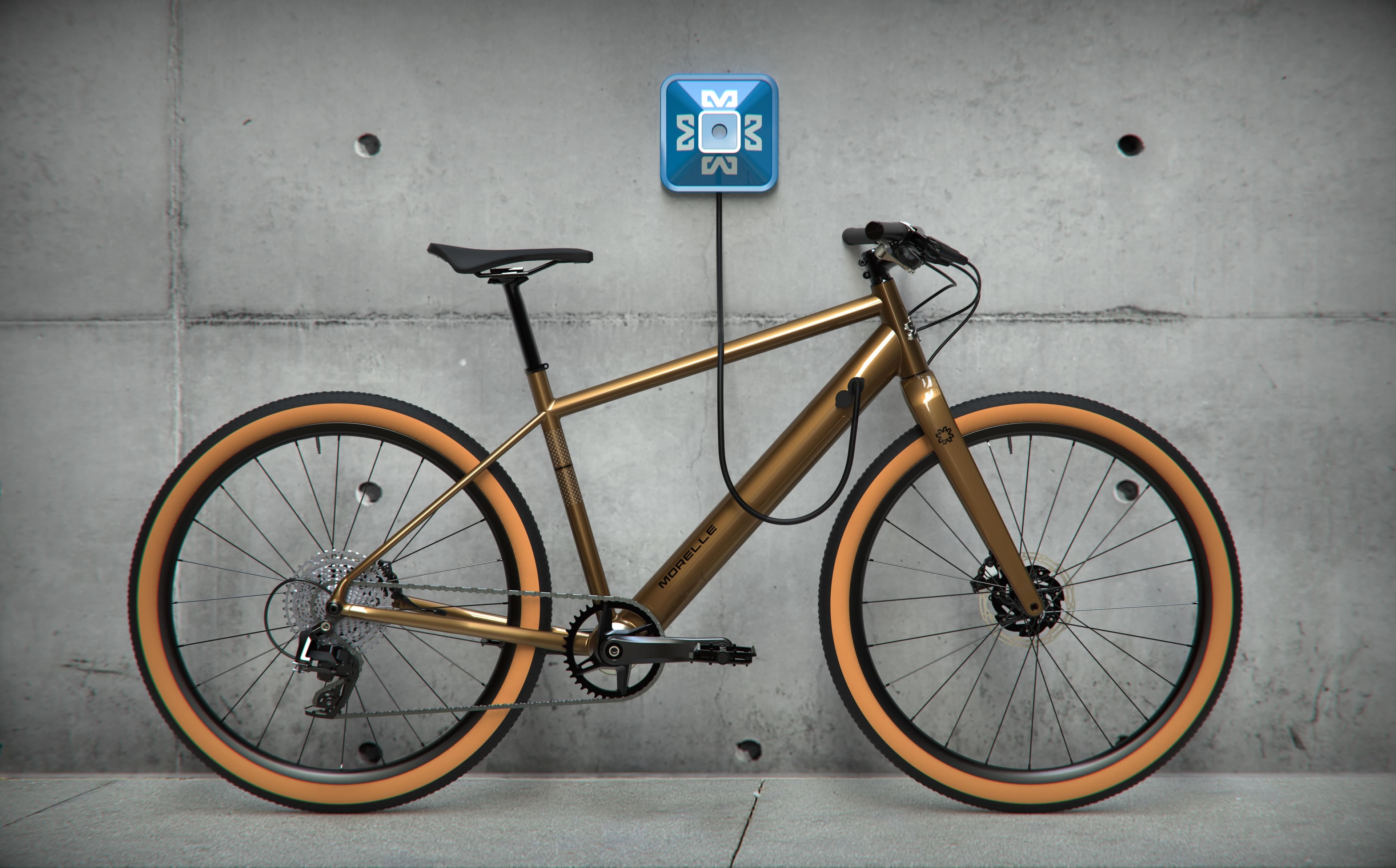 Morelle e-bike detail view